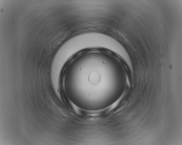 X0000073740364200608031410