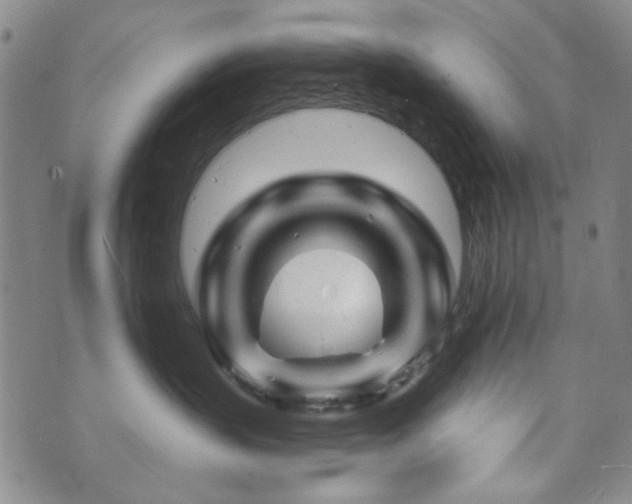 X0000073740383200608031410