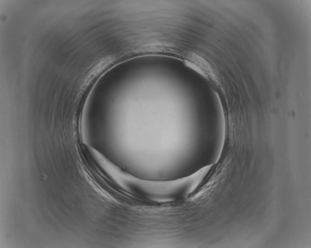 X0000073740389200608031409