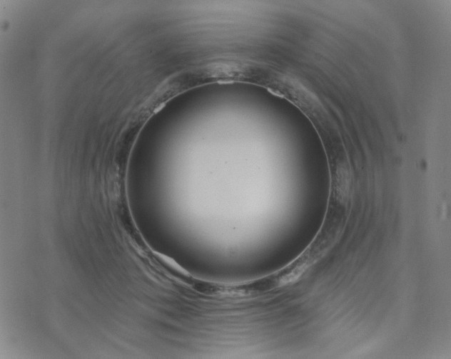 X0000073740413200608031409