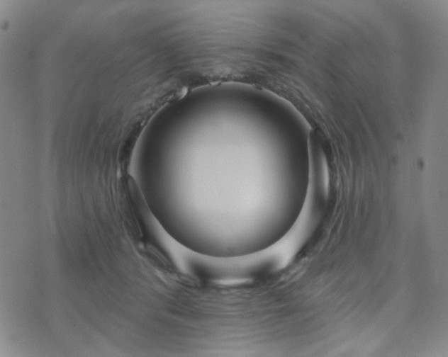 X0000073740416200608031409