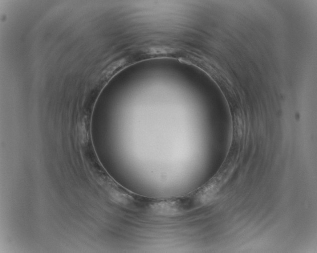 X0000073740422200608031409