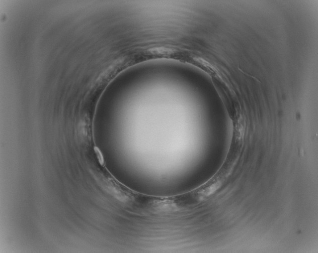X0000073740424200608031409