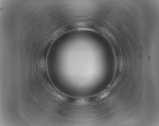 X0000073740425200608031409
