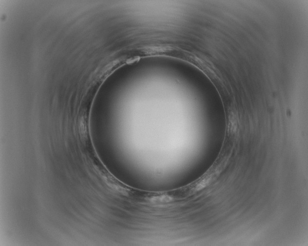 X0000073740426200608031409