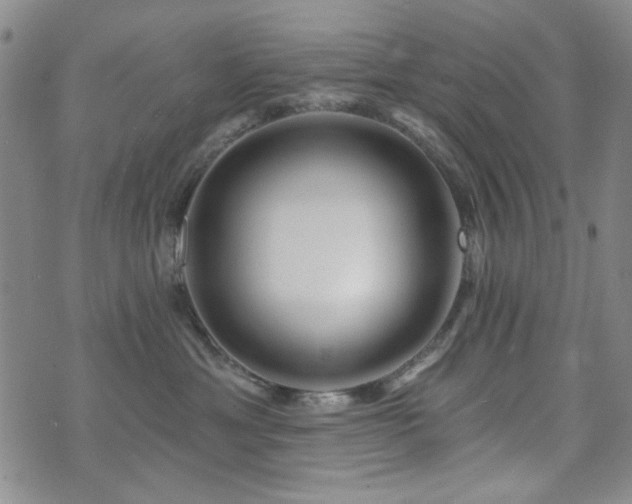 X0000073740429200608031409