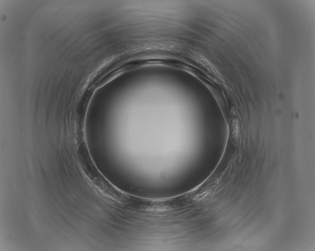 X0000073740444200608031408