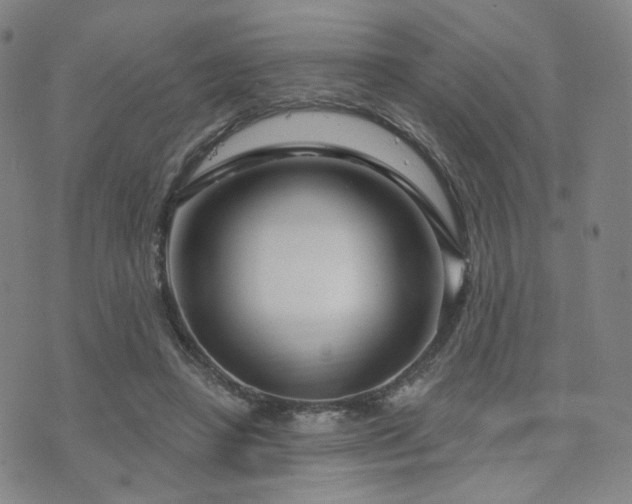 X0000073740450200608031408