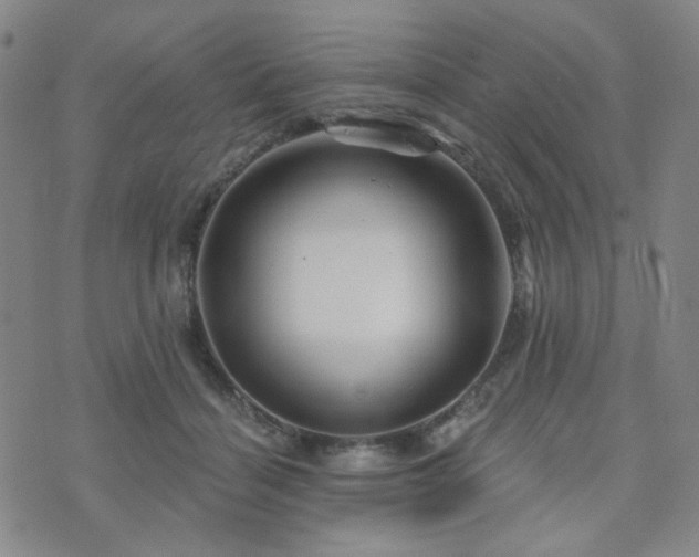 X0000073740460200608031408