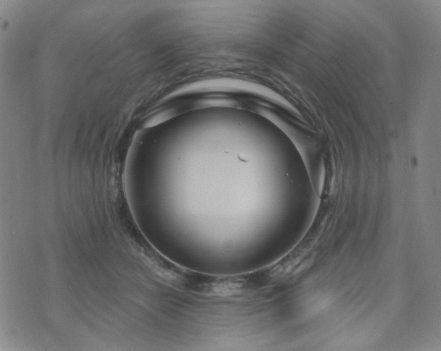 X0000073740462200608031408