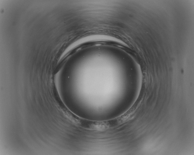 X0000073740466200608031408