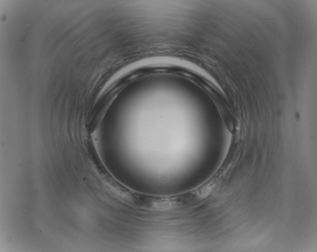 X0000073740470200608031408