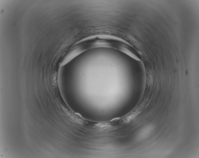 X0000073740477200608031409