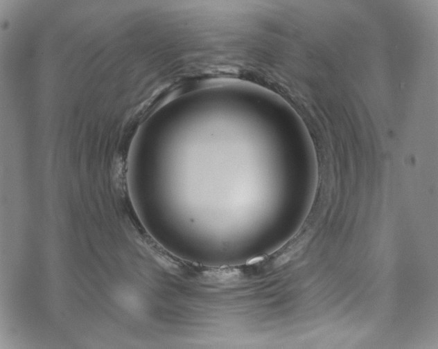 X0000073740480200608031409