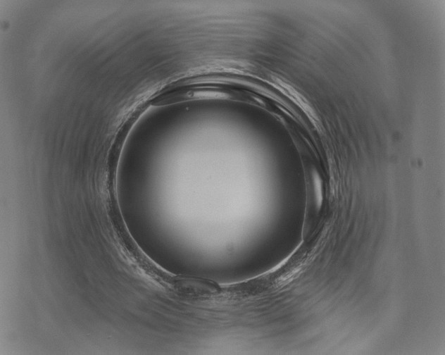 X0000073740485200608031408