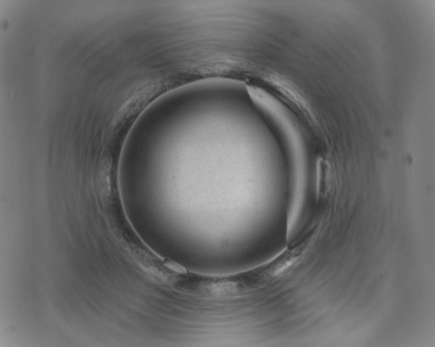 X0000073740501200608031407