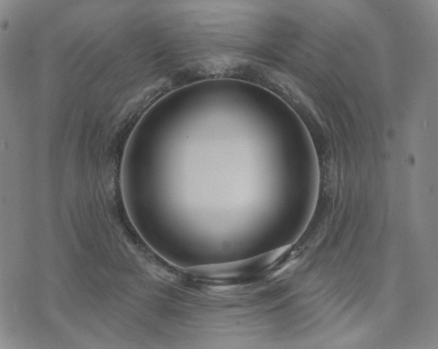 X0000073740505200608031407