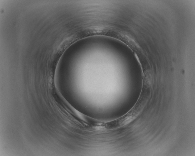 X0000073740509200608031407