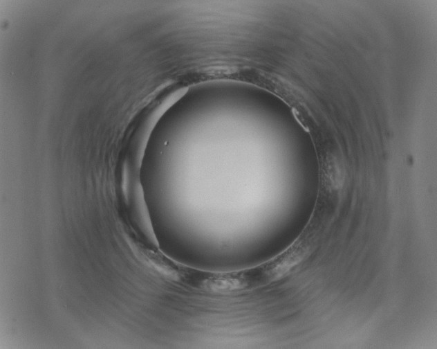X0000073740512200608031407