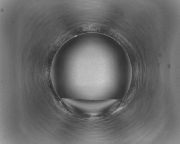 X0000073740513200608031407