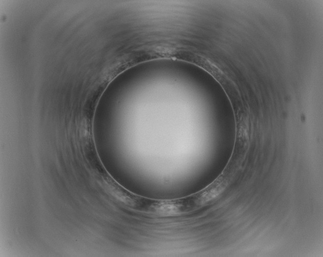 X0000073740518200608031407