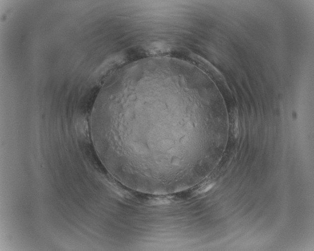 X0000073740523200608031407