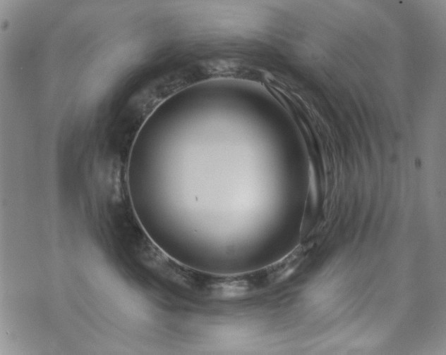 X0000073740525200608031407