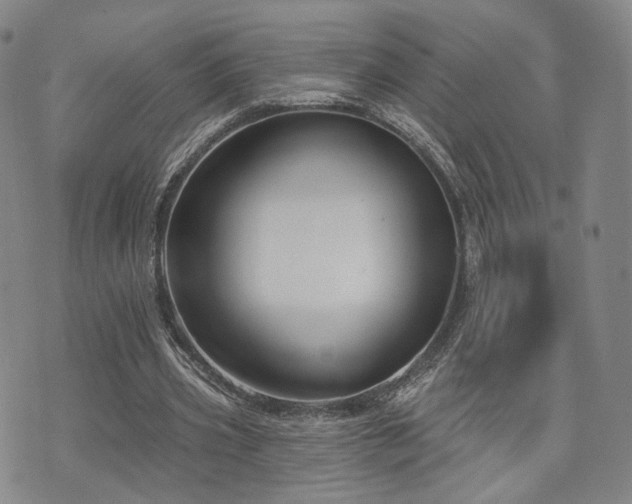 X0000073740533200608031406