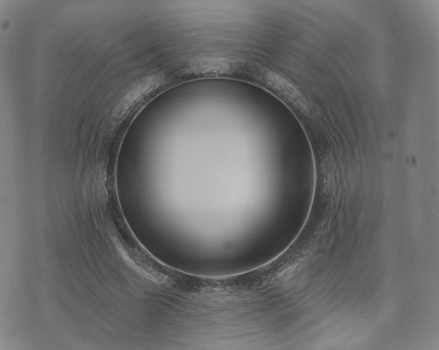 X0000073740538200608031406