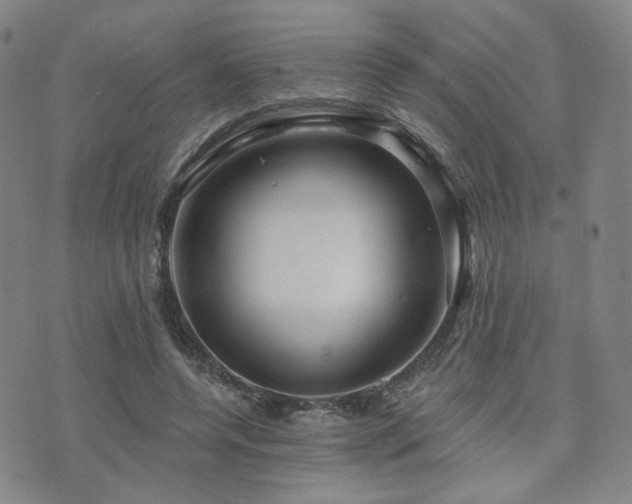 X0000073740544200608031406