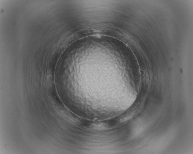 X0000073740557200608031407