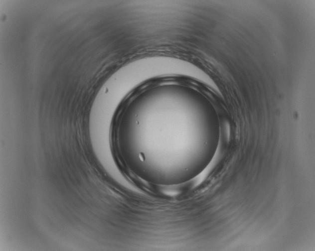 X0000073740558200608031407