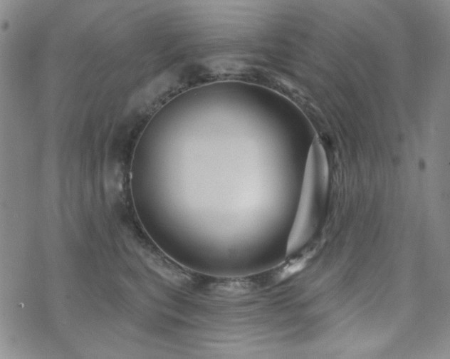 X0000073740567200608031407