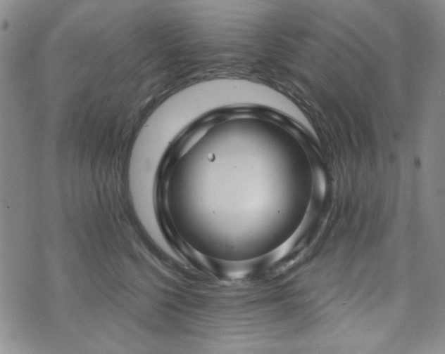 X0000073740568200608031407
