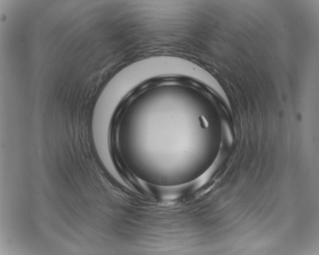 X0000073740570200608031407