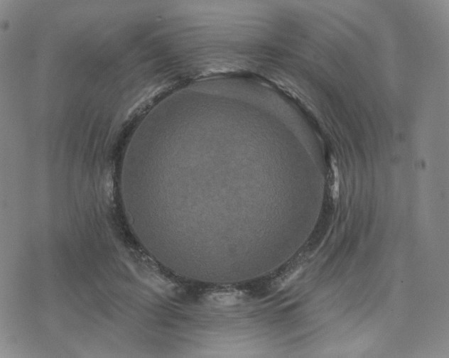 X0000073740595200608031406