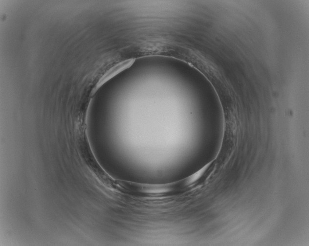 X0000073740601200608031406