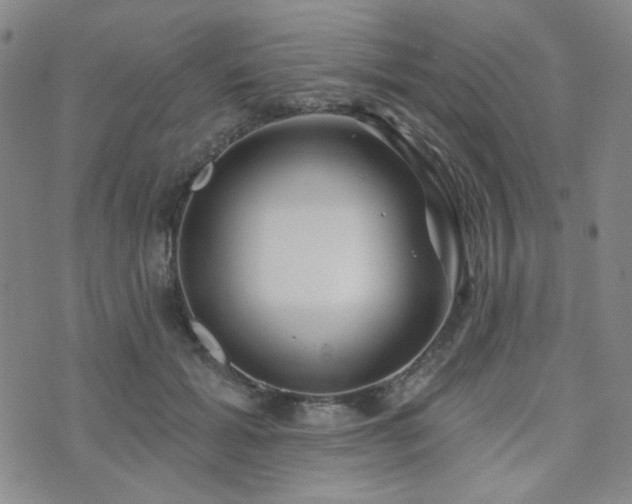 X0000073740605200608031406