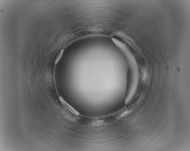 X0000073740609200608031406