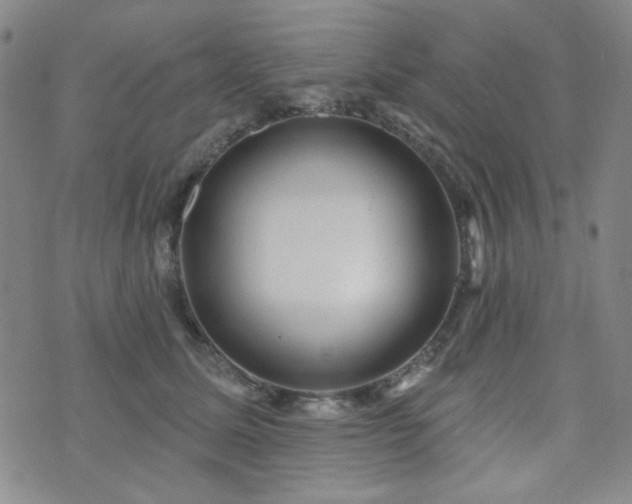 X0000073740611200608031406
