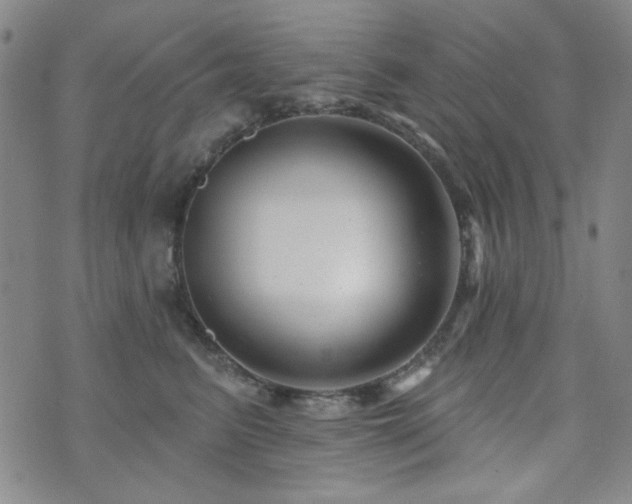 X0000073740615200608031406