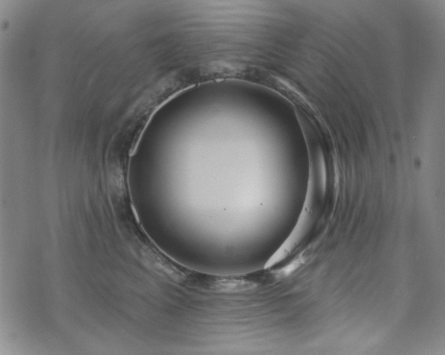 X0000073740617200608031406