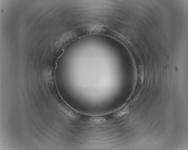 X0000073740619200608031406