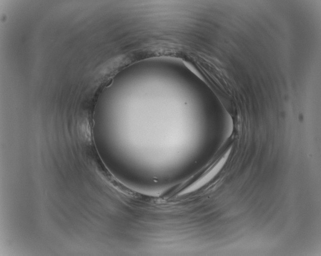 X0000073740622200608031406
