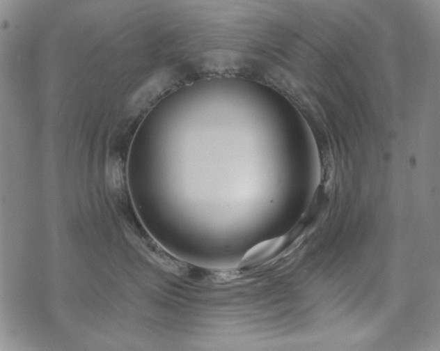 X0000073740623200608031405