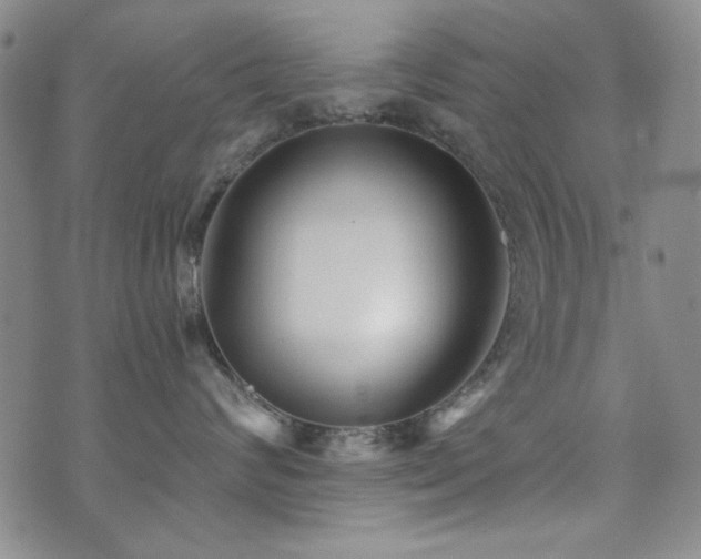 X0000073740624200608031405