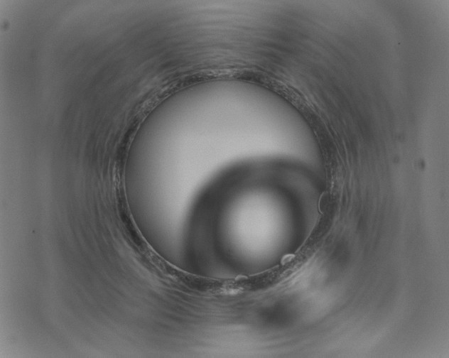 X0000073740647200608031405