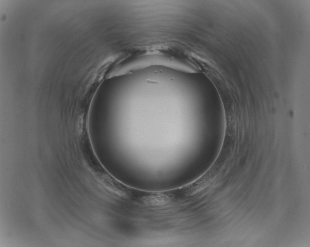 X0000073740652200608031405