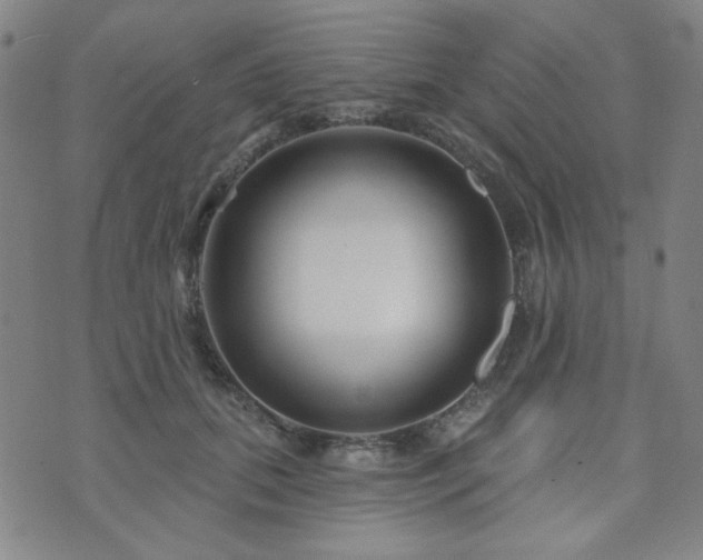 X0000073740655200608031405
