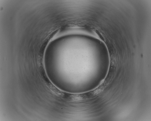 X0000073740658200608031405